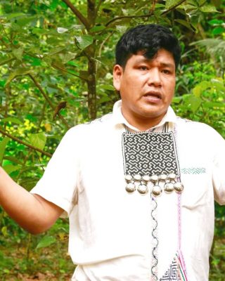 plantasmedicinales-ayahuascaparaelmundo